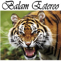 Balam Estereo Barillas