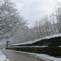 Strada invernale di 