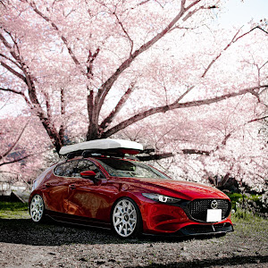 MAZDA3