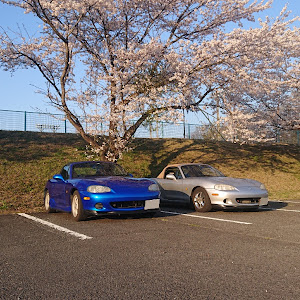 ロードスター NB6C