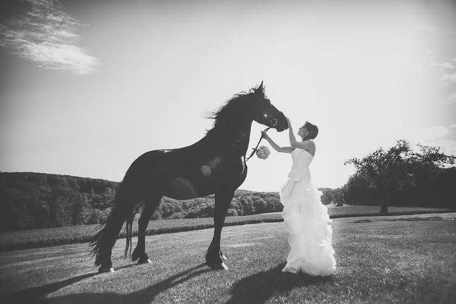 Hochzeitsfotograf Simon Prosenc (simon-prosenc). Foto vom 4. September 2014