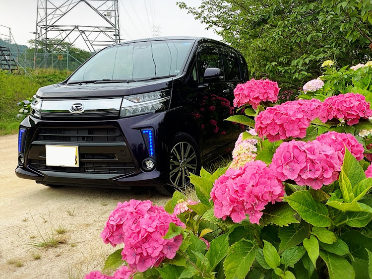ムーヴカスタムのいつもいいね＆コメントありがとうございます🥰・ドライブ・紫陽花公園・ティラミスに関するカスタム事例の投稿画像5枚目