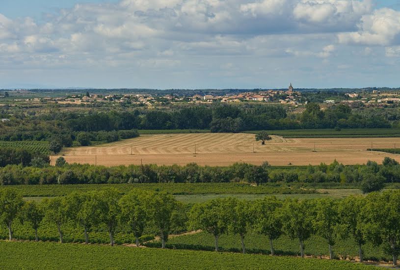  Vente Terrain + Maison - Terrain : 325m² - Maison : 73m² à Nézignan-l'Évêque (34120) 