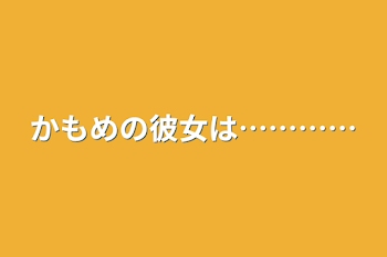 かもめの彼女は…………