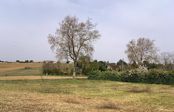 terrain à Peyssies (31)