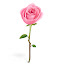 Pink & Rose Wallpapers HD New Tab Theme