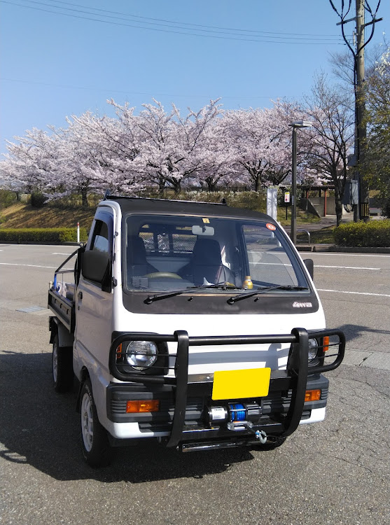 ミニキャブトラックの桜とコラボ🌸に関するカスタム事例の投稿画像1枚目