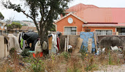 Homeless people have set up their shacks on an open field in North End, PE, where the old Park School used to be.