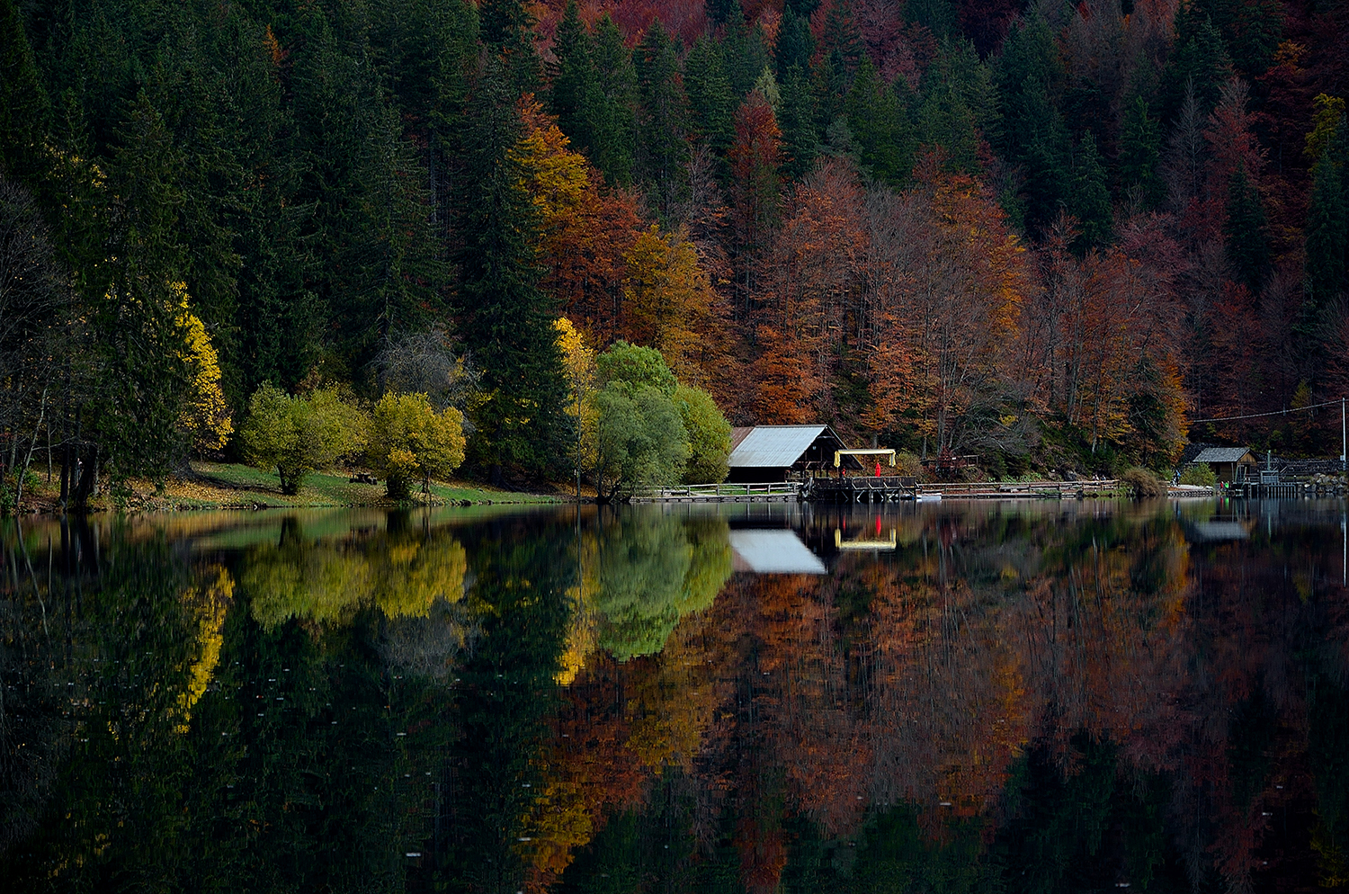 Riflessi d'autunno di drastik1967