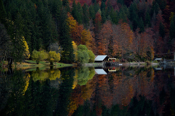 Riflessi d'autunno di drastik1967