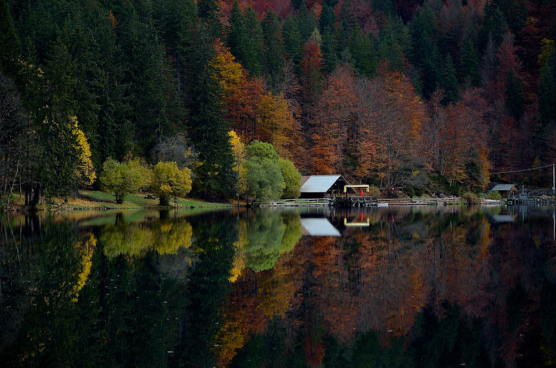 Riflessi d'autunno di drastik1967