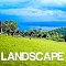 Item logo image for Landscape