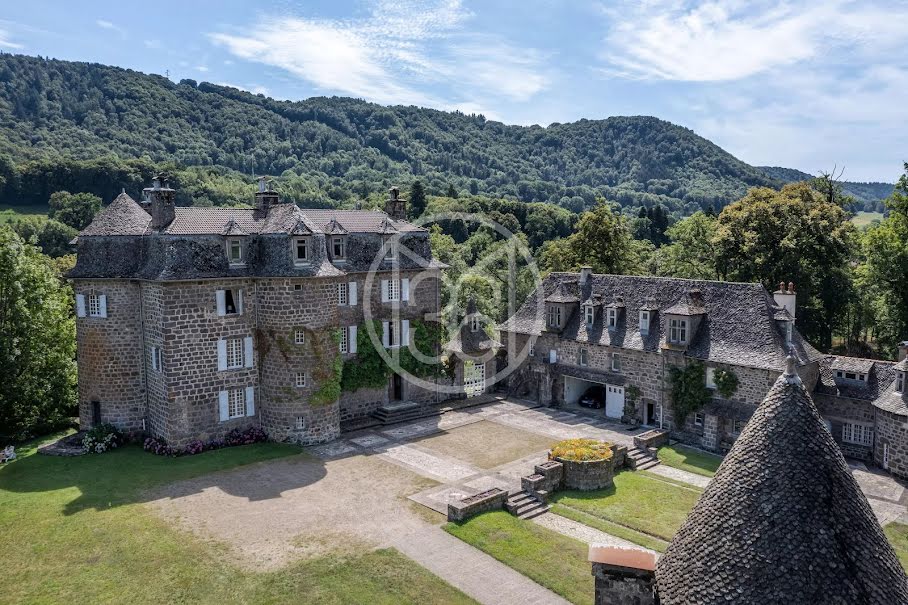 Vente château 12 pièces 550 m² à Marmanhac (15250), 845 880 €