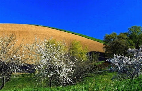 I colori del risveglio di paolo-spagg