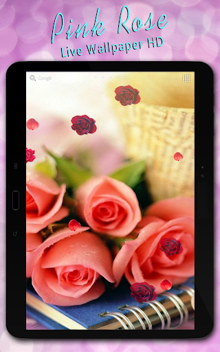 免費下載個人化APP|Pink Rose Live Wallpaper HD app開箱文|APP開箱王
