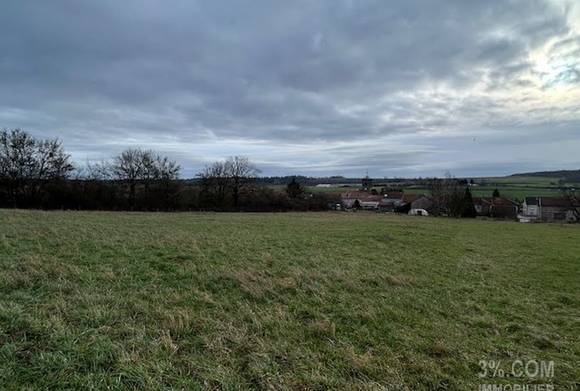  Vente Terrain à bâtir - 8 243m² à Lunéville (54300) 