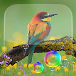 Cover Image of Download 3D Bird Live Wallpaper 4.0 APK