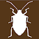 Midwest Stink Bug icon