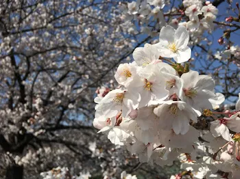 誘拐された…