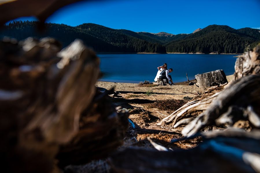 Wedding photographer Marius Stoian (stoian). Photo of 12 March 2019