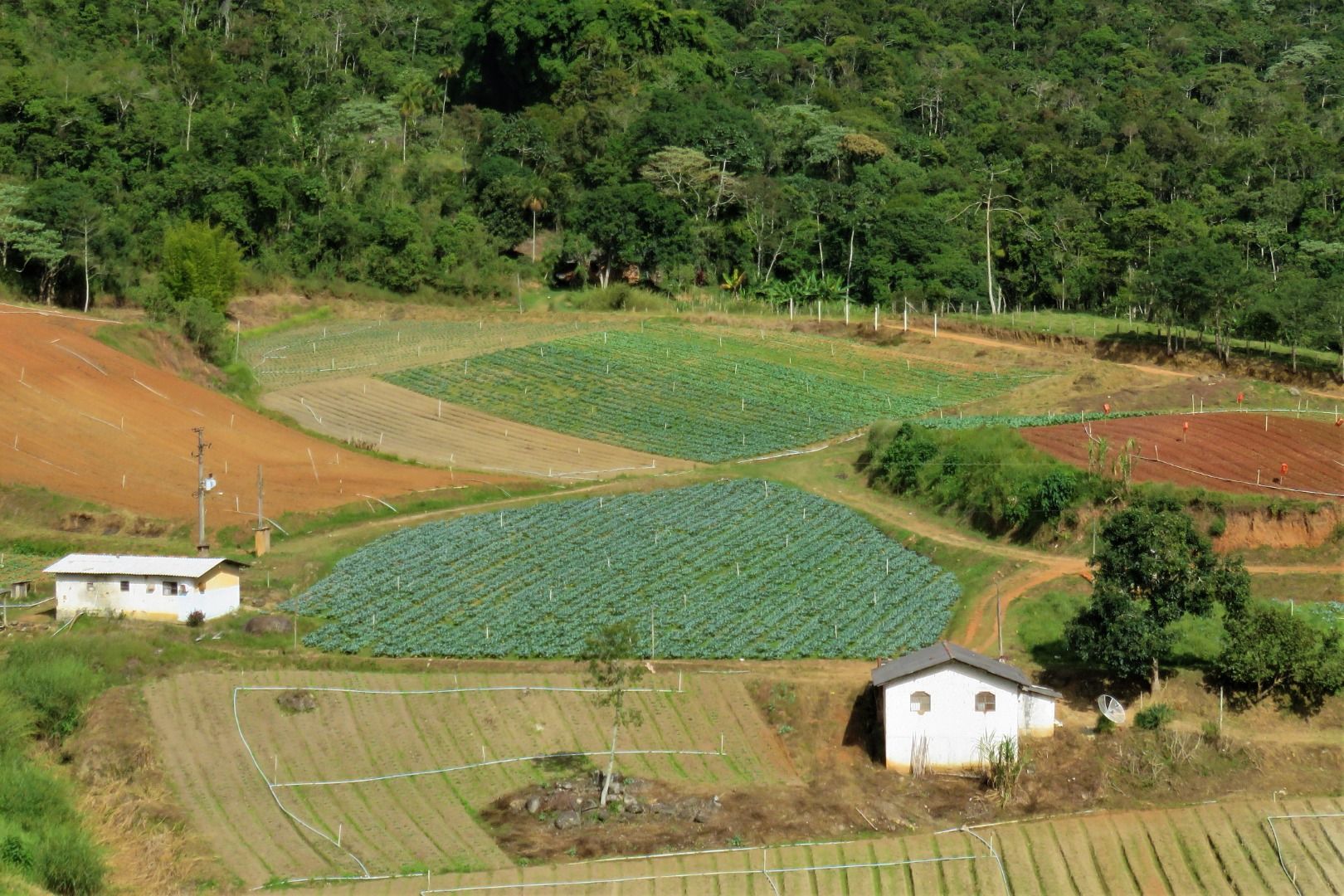 Fazenda / Sítio à venda em Stucky, Nova Friburgo - RJ - Foto 4