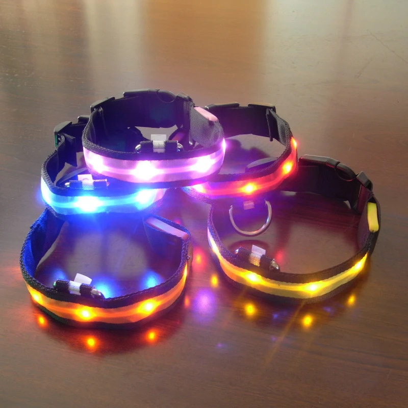 Title 6, Collier LED Lumineux pour Chiens Pomeranian Hus...