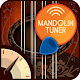 Master Mandolin Tuner Download on Windows