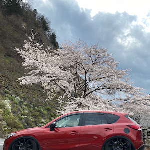 CX-5 KE5FW