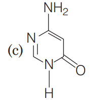 Nucleic Acids