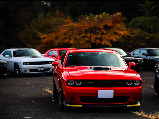 バイパー のカスタムカー アメ車 アメ車女子 アメ車乗り Dodgeミーティングに関するカスタム メンテナンスの投稿画像 車 のカスタム情報はcartune