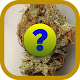 Download Cannabis Quiz For PC Windows and Mac