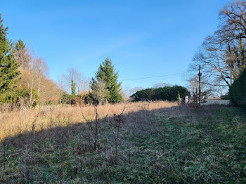 terrain à Royères (87)