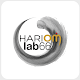 Hariom-Lab66 Download on Windows