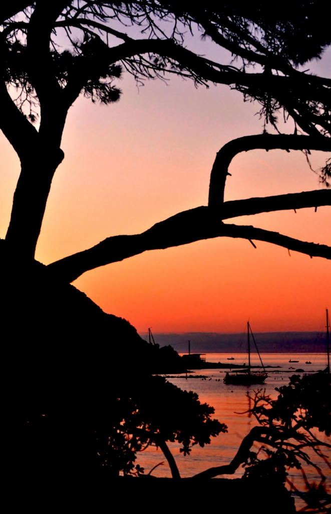 Un mare di viola! di silvia.c.