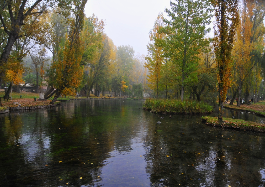 i colori dell'autunno... di Massimiliano zompi