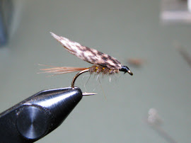 Gold ribbed hare's ear Wet Fly - Пенко Стоянов