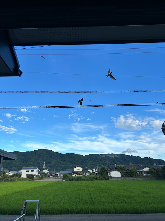 サニートラックの1173さんが投稿したカスタム事例の投稿画像6枚目