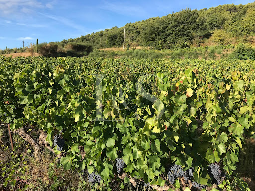 Propriété avec piscine et jardin 3