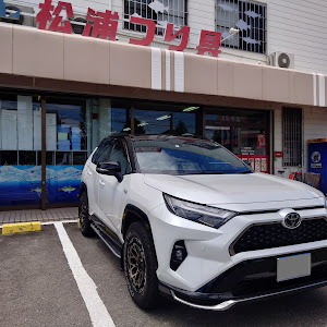 RAV4 AXAP54