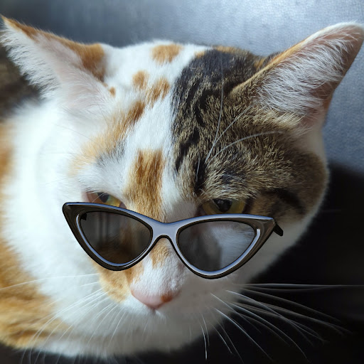 わっはっは