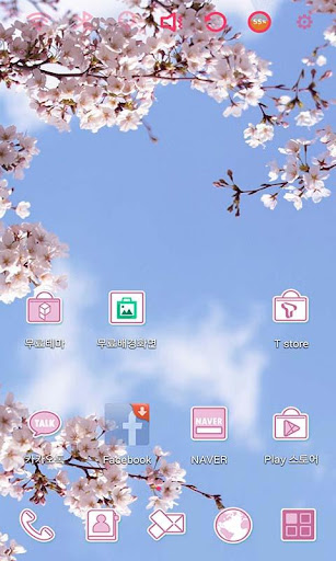 Cherry Blossom and You Theme