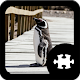 Penguin puzzle by Puzzle Maniacs