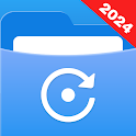 Icon File Recovery Pro