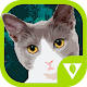 Cats Puzzles Download on Windows
