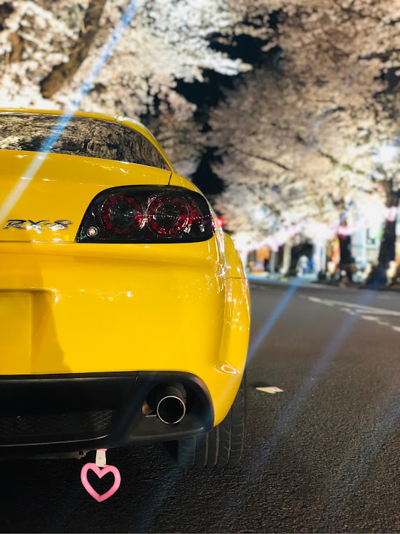 RX-8の桜と愛車・桜🌸・桜コラボに関するカスタム事例の投稿画像1枚目