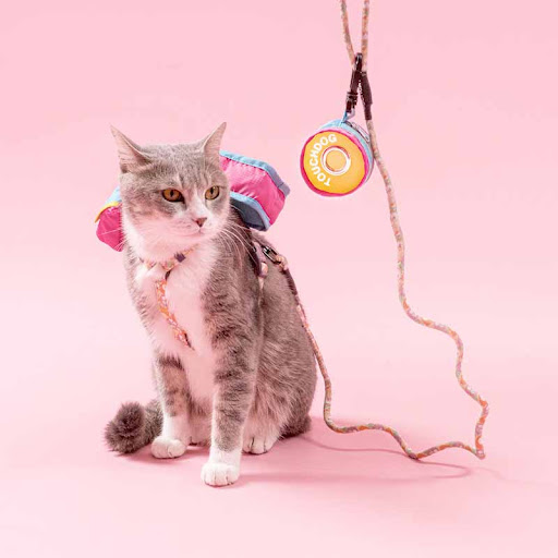Title 6, Portable Cute Pet Three-in-One Travel Bag. Easy...