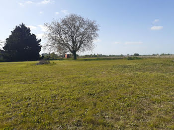 terrain à Beaufort-en-Vallée (49)