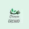 Chinese Orchid, Marathahalli, Bangalore logo