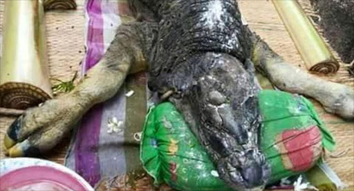 The strange creature found in Thailand.