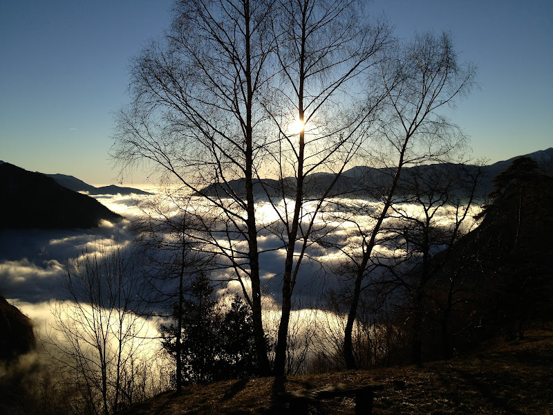 La nebbia, sotto. di laura62